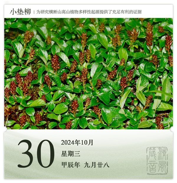 1730103267712208.png 箴历日历10-30.png