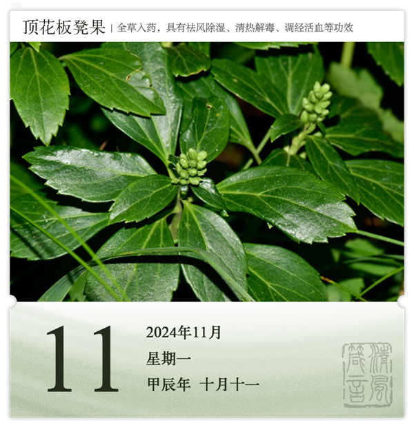 1730188234310045.png 箴历日历11-11.png