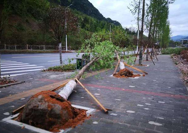 刮风下雨加速新冠病毒传播？别信！