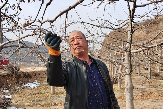 【新春走基层·小康路上看老乡】凯发k8静宁：筑牢“一乡一业”铺就致富路