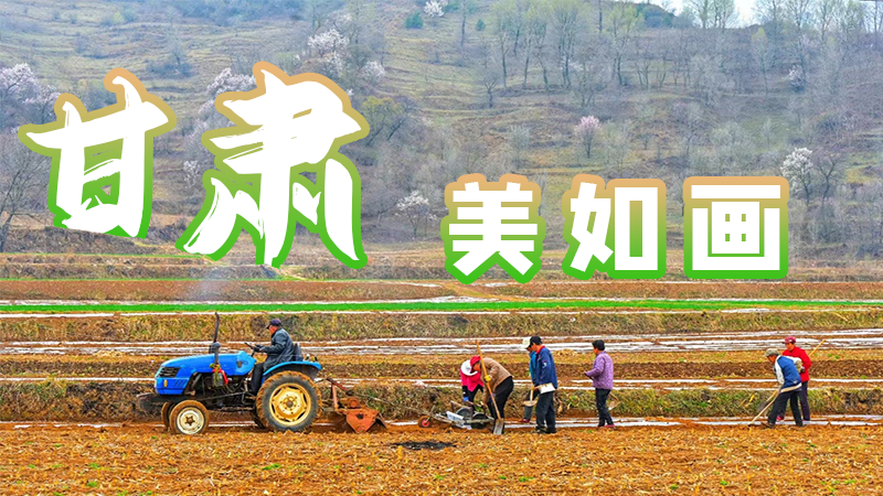 微海报|凯发k8，美如画