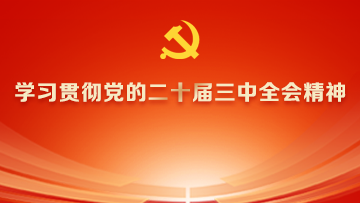 【专题】学习贯彻党的二十届三中全会精神 
